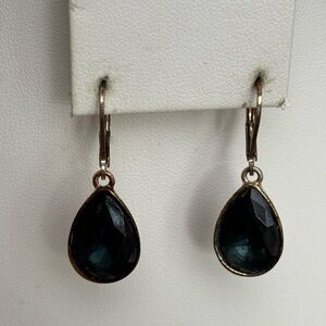 Nine West Blue Leverback Earrings